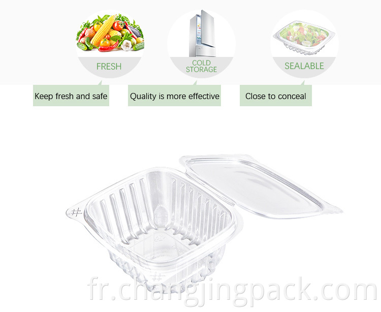 plastic hinged lid food containers suitable for birthday party,cake shops,supermarkets,outdoor picnics use,easy to carry and transport.